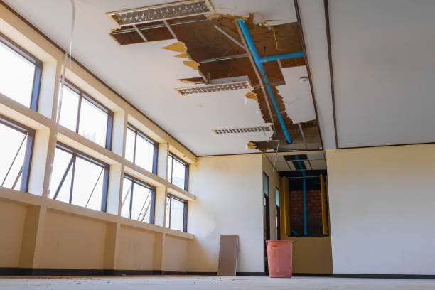 Best Water damage restoration near me  in Dodson Branch, TN