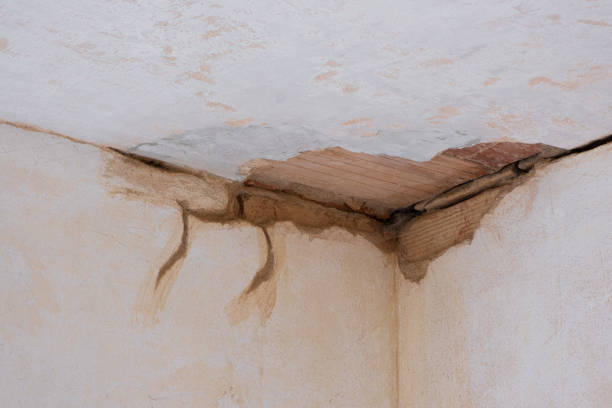  Dodson Branch, TN Water damage restoration Pros