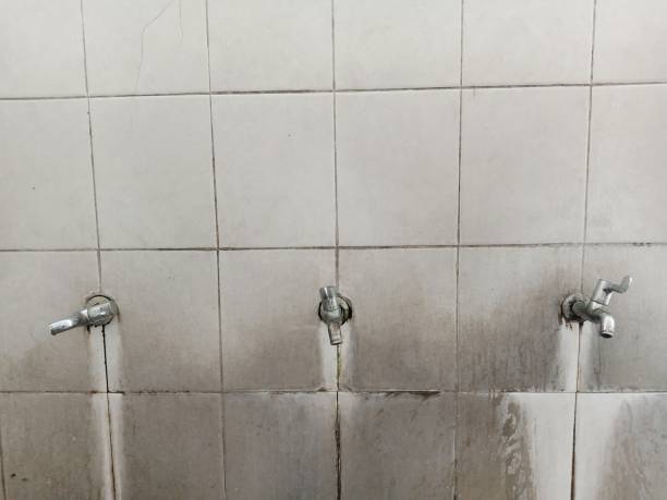 Best Basement water damage restoration  in Dodson Branch, TN