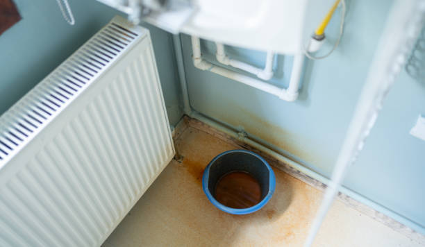 Best Emergency water damage restoration  in Dodson Branch, TN