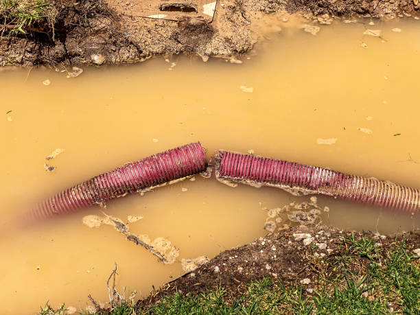 Trusted Dodson Branch, TN Water damage restoration Experts