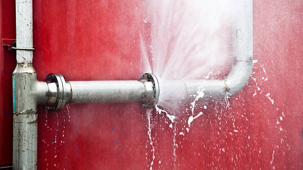 Best Local water damage restoration  in Dodson Branch, TN